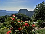 20 Dalla cascina vista verso il Monte Zucco
